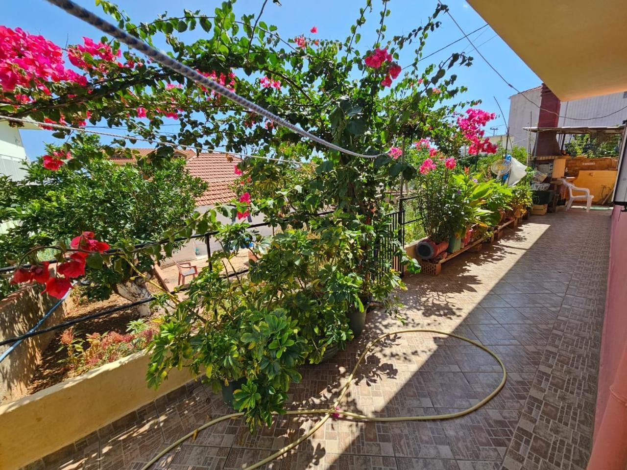 Apartment Eva's Poros (Kefalonia)